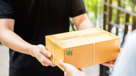 The Role of Cannabis Distributors in Ensuring Product Consistency and Quality
